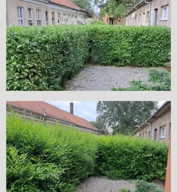 Zöldterület kezelés Zöldterület kezelés
